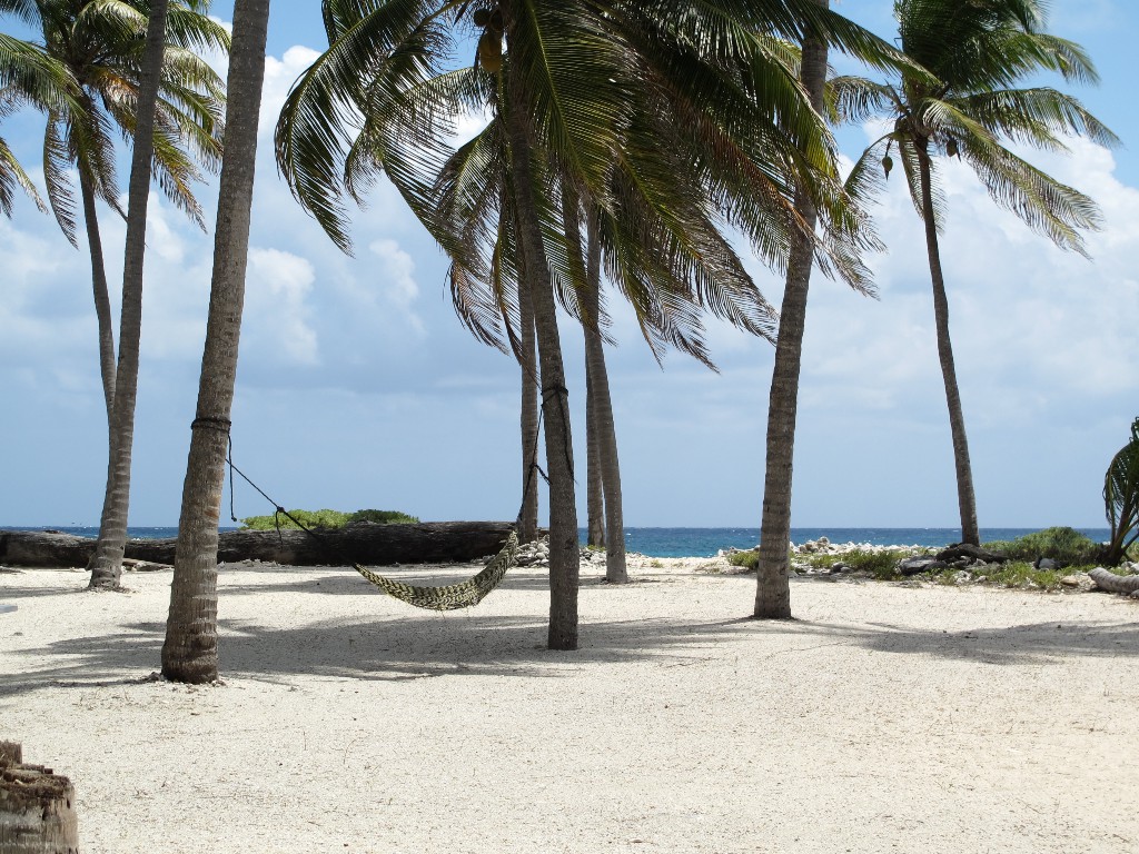 IMG_0290 (1) IMG_0290 (1)